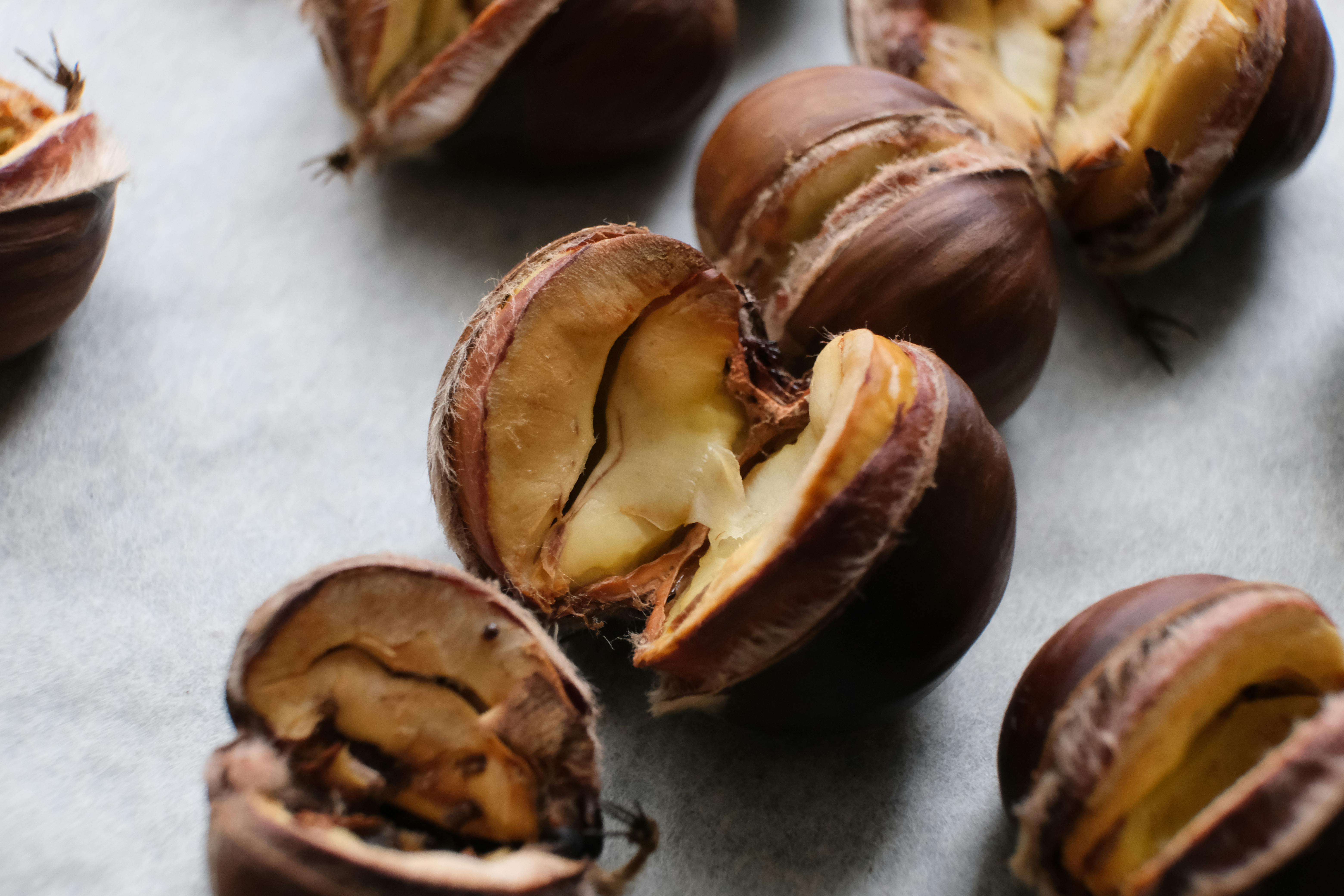 Vegan Gastronomy Revolution: Unlocking the Mind-blowing Flavors of Plant-based Cooking