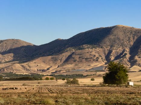 Sunlit mountainous landscape showcasing expansive farmland under a clear blue sky.