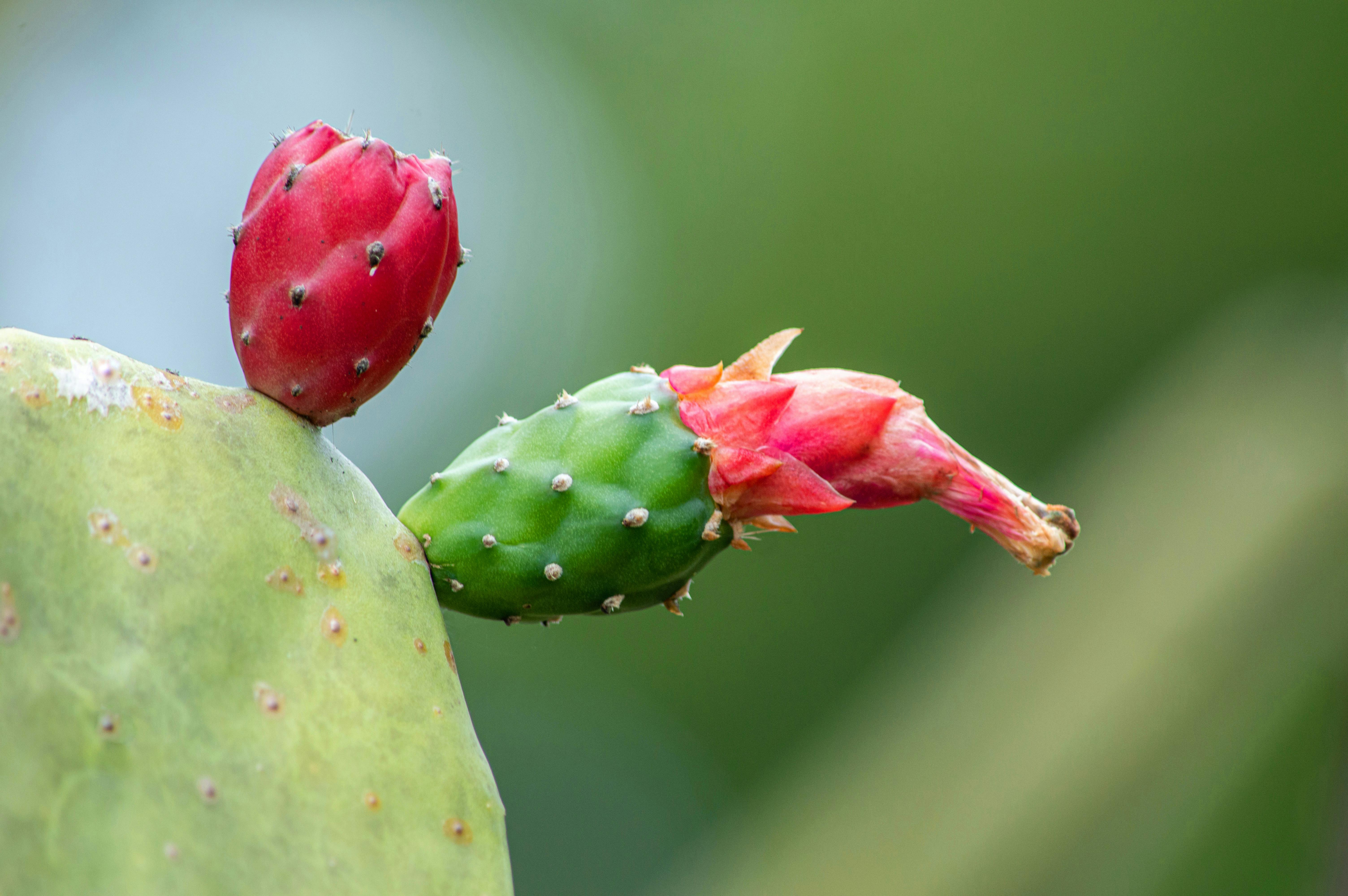 Creative Urban Gardening Ideas for Small Spaces and Containers