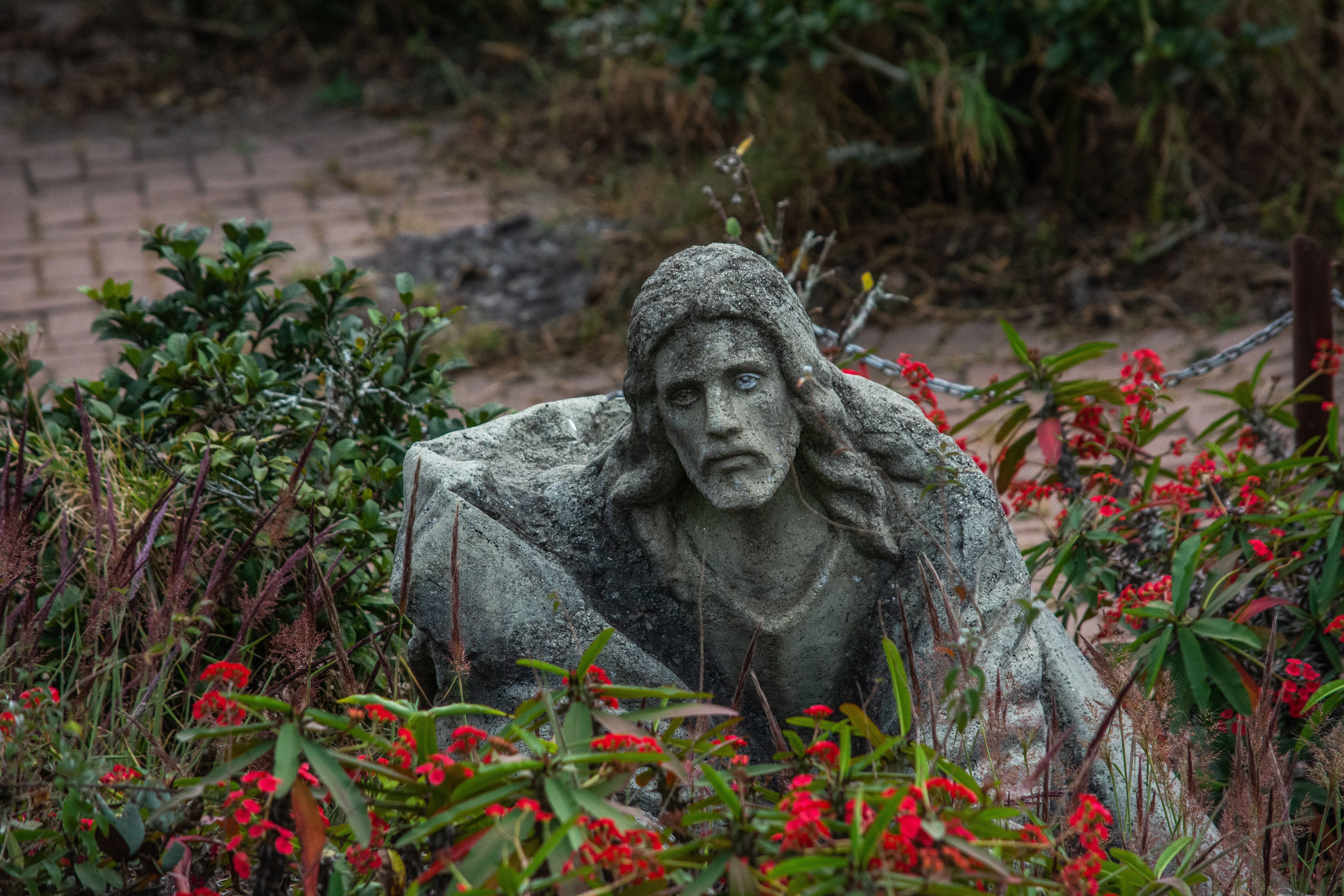 Jesus Risen Photos, Download The BEST Free Jesus Risen Stock Photos ...