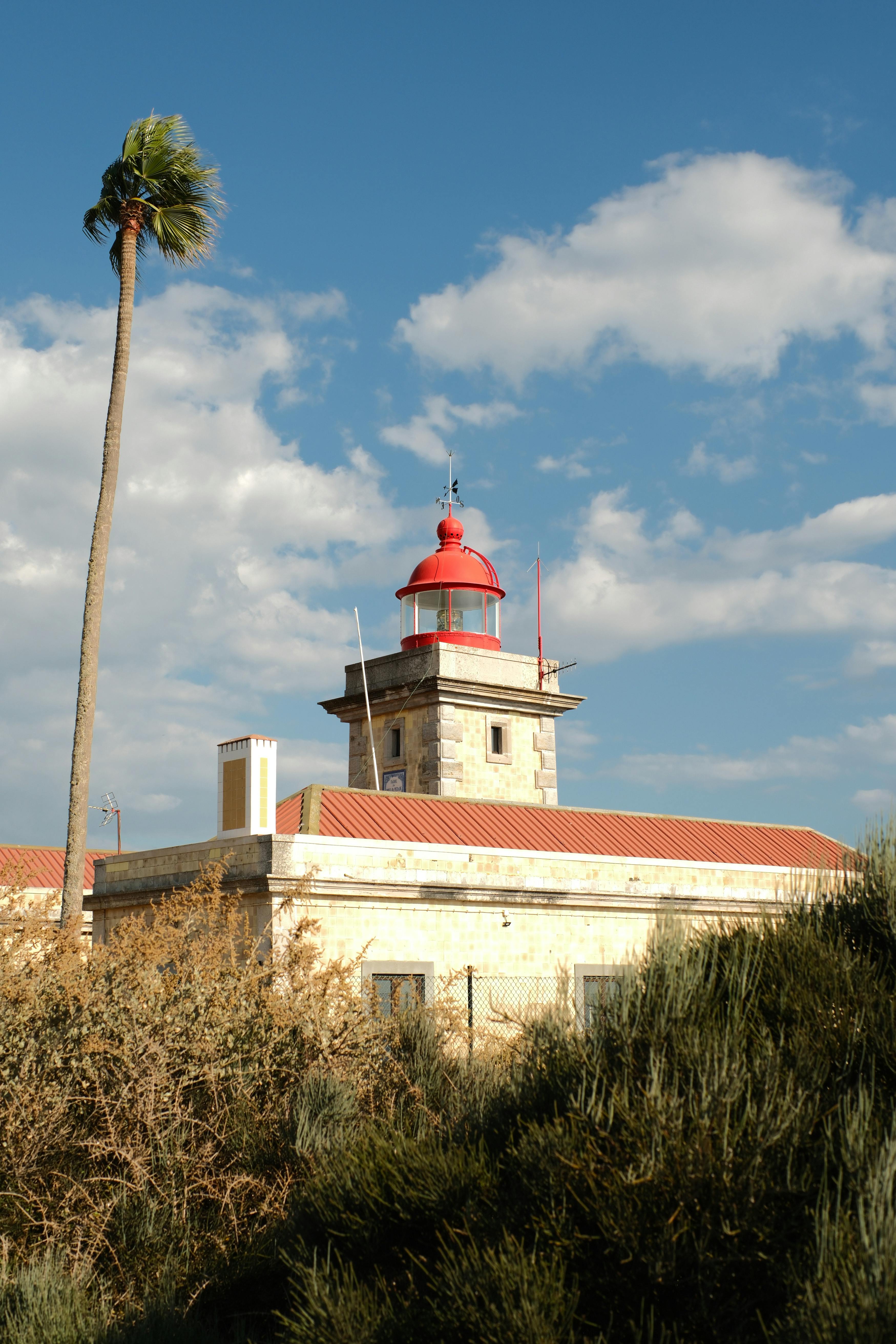 Historic lighthouse with red dome in Lagos, Portugal with palm tree and blue sky.