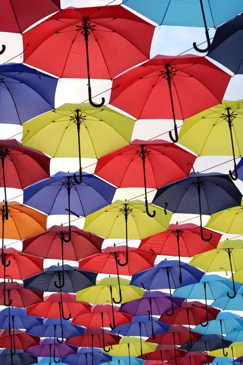 Free Colorful Umbrellas Stock Photo