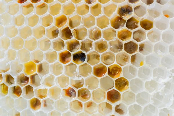Hot honey being drizzled over food showing sweet and spicy swicy flavor