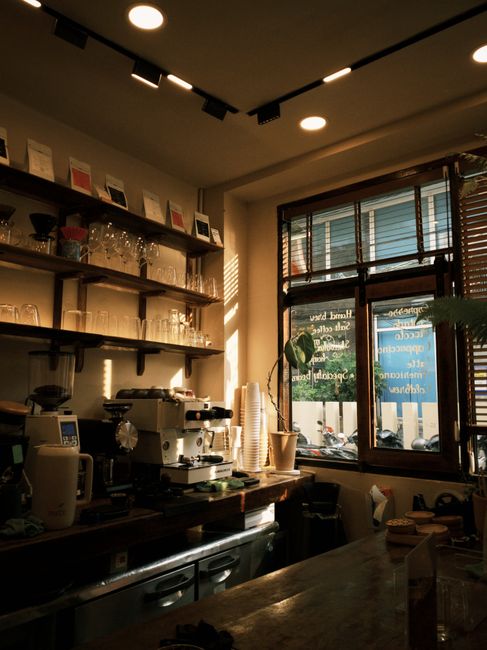 Warm sunlight casts a cozy glow inside an artisan coffee shop with shelves of glassware.