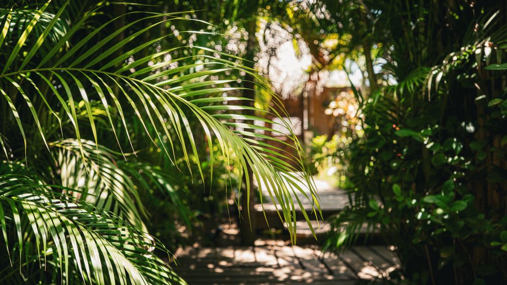 Quiet corners and hammocks