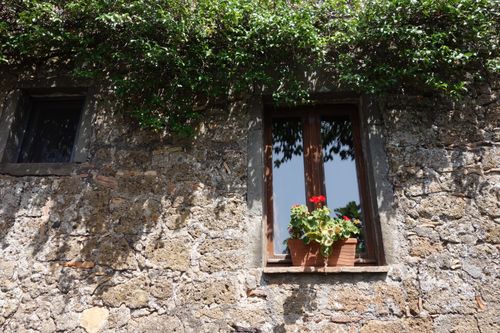 Free Charming stone wall with a wooden window adorned with red flowers in a sunlit rustic setting. Stock Photo