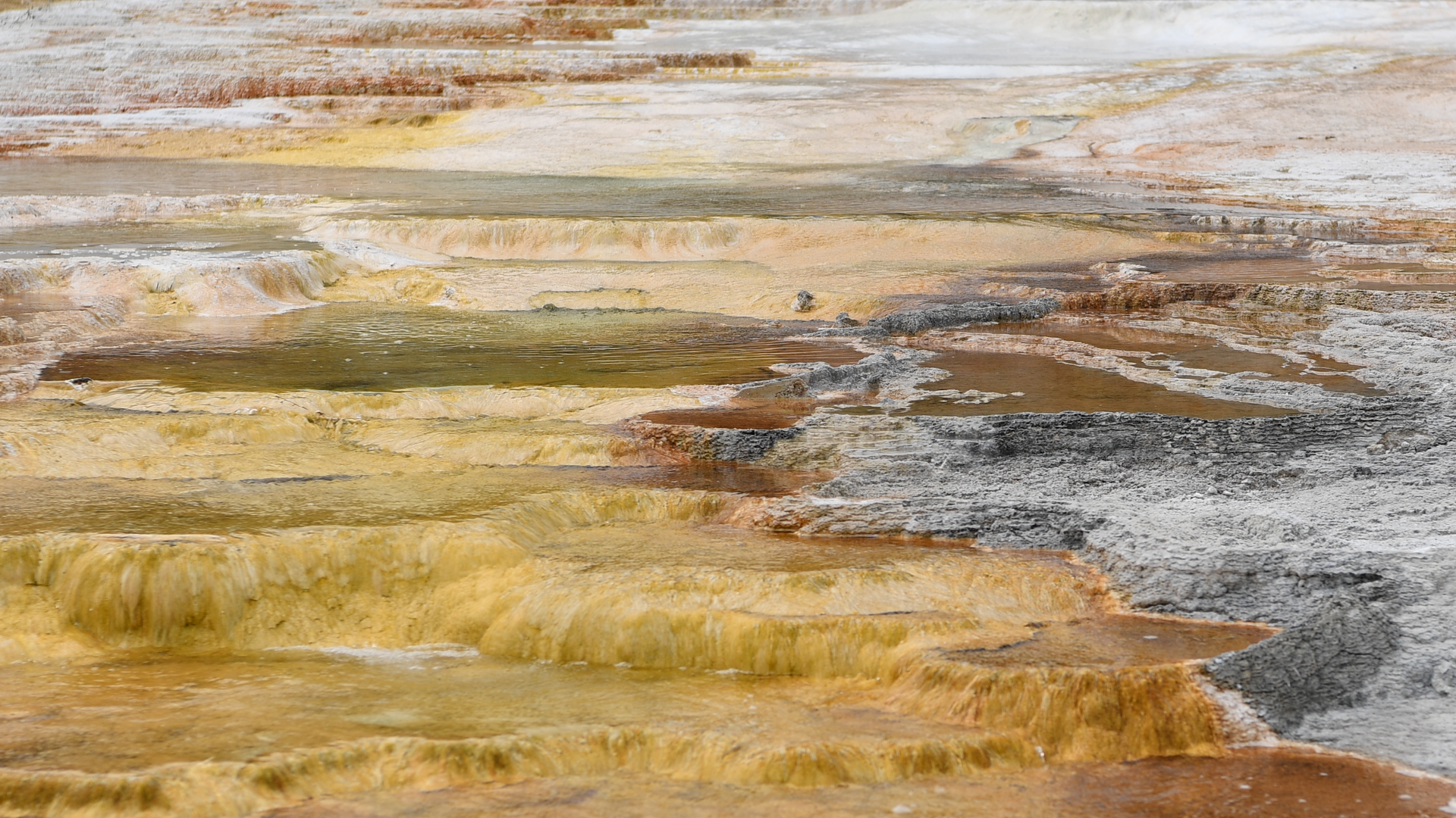 Colorful mineral-rich terraces feature geyser activity in Yellowstone.