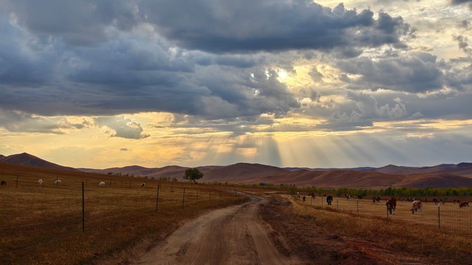 Quel budget faut-il pour partir vivre en Mongolie ?