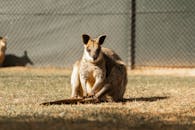 Territory Wildlife Park