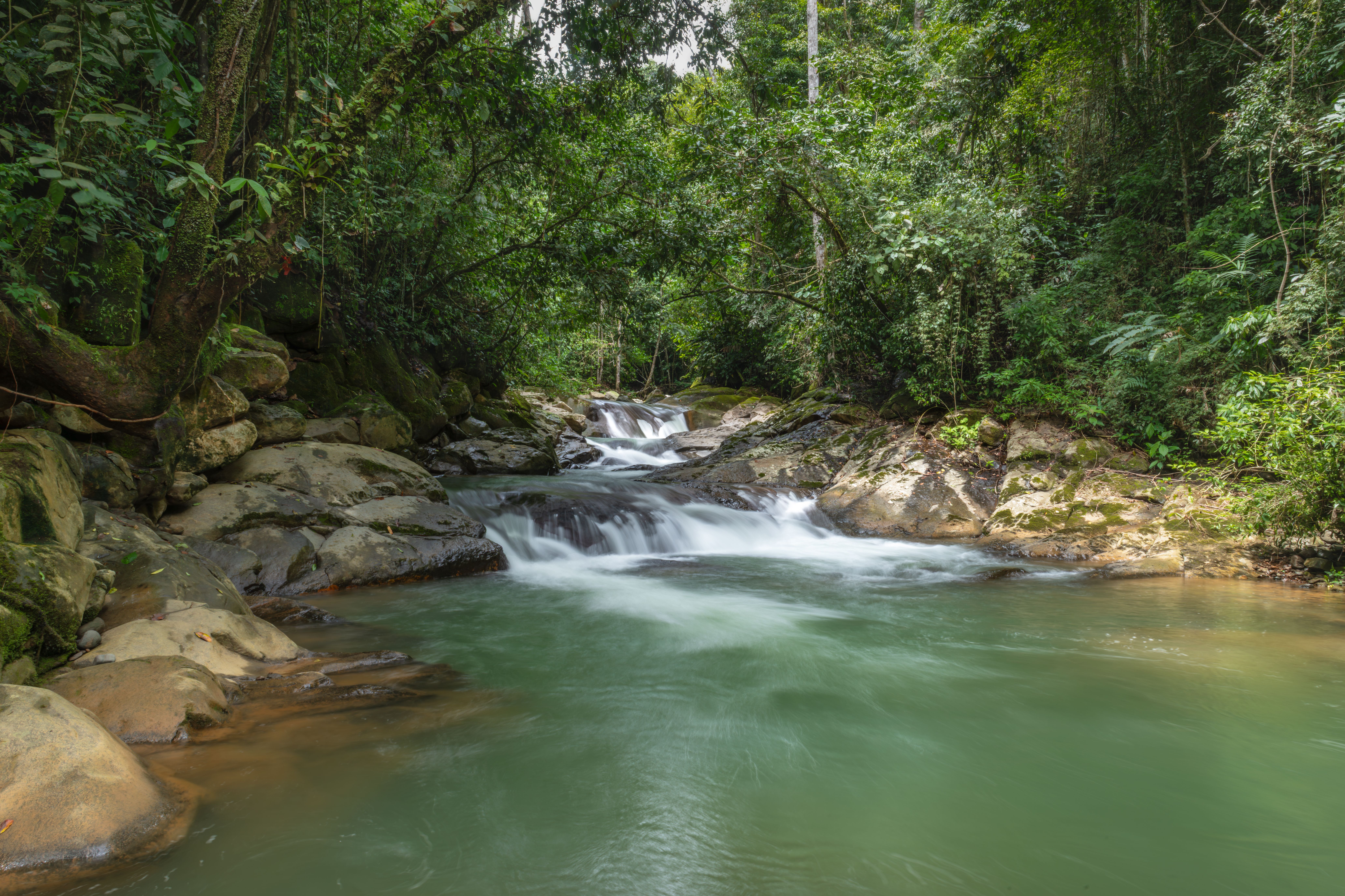 Serene Waterfall in Costa Rican Rainforest · Free Stock Photo