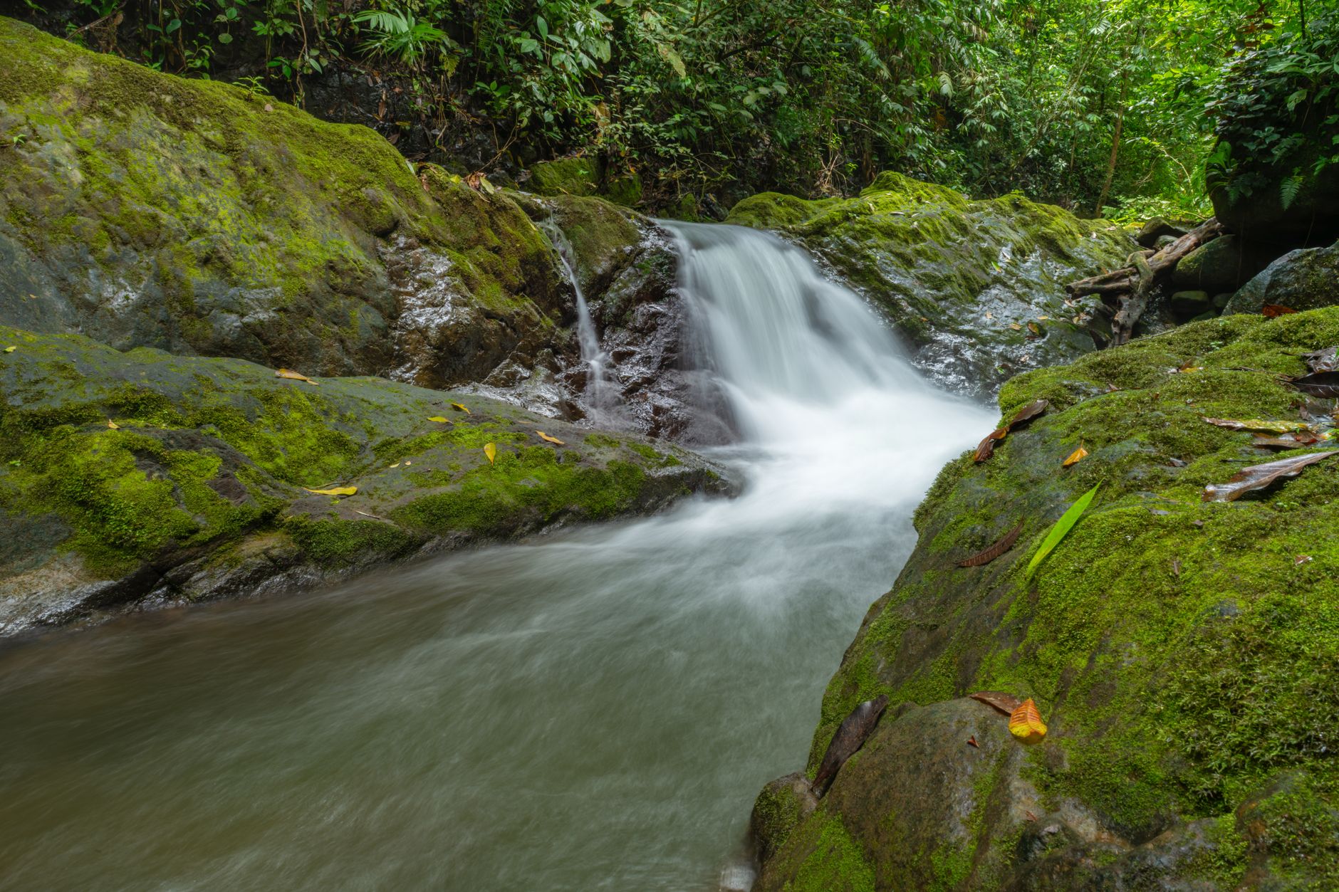 Waterfall in Costa Rican rainforest
