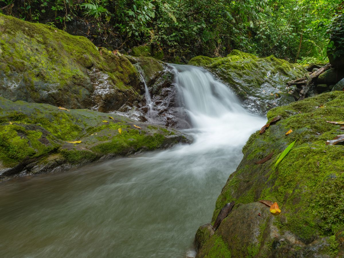 4 Day Rainforest Connection Retreat in Arenal, Costa Rica 3