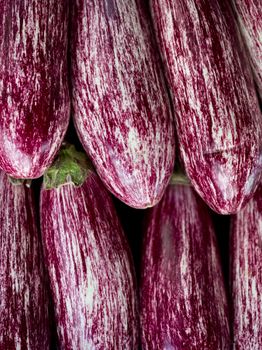 purple eggplant aubergine