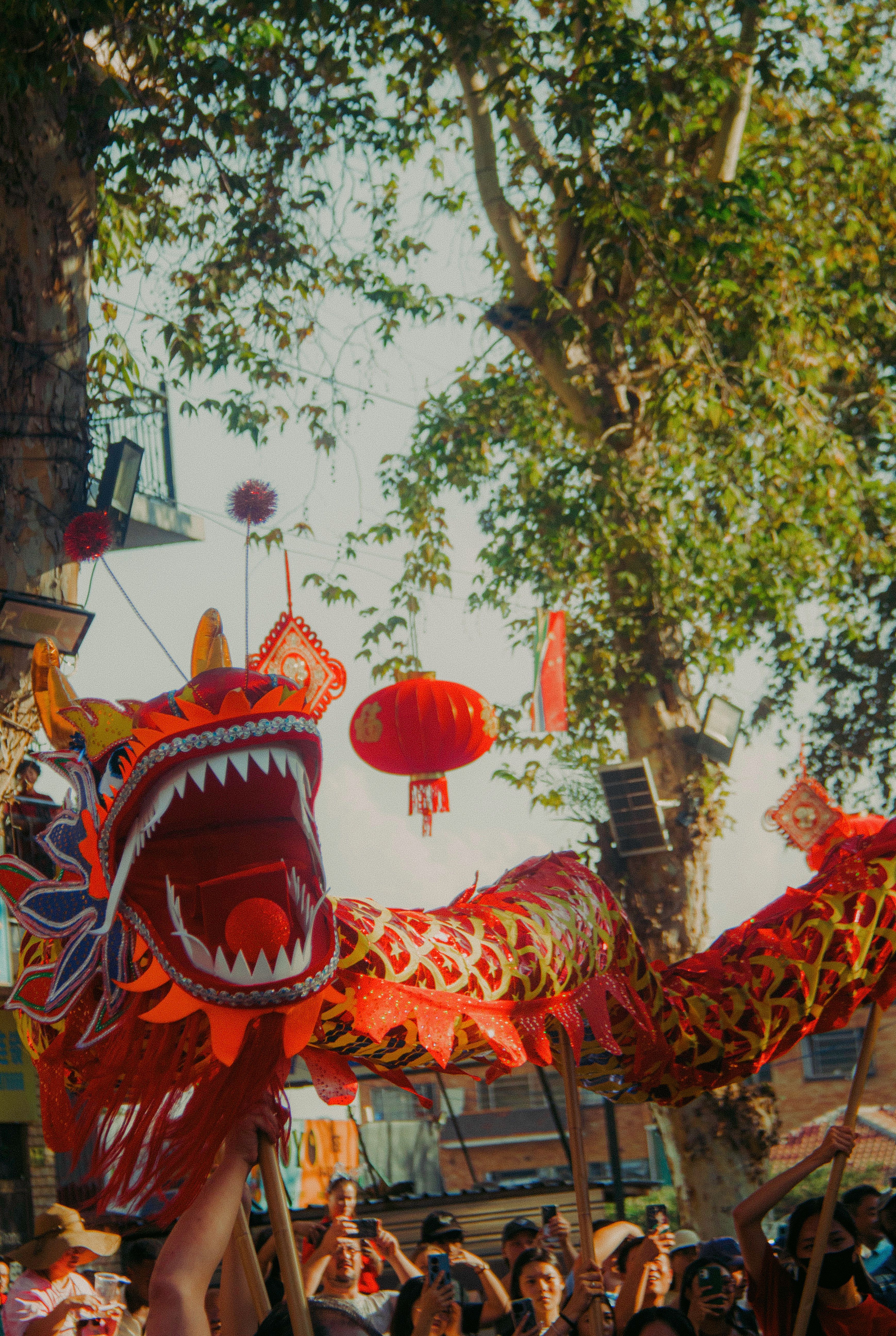 Vibrant Dragon Dance at Johannesburg Festival · Free Stock Photo