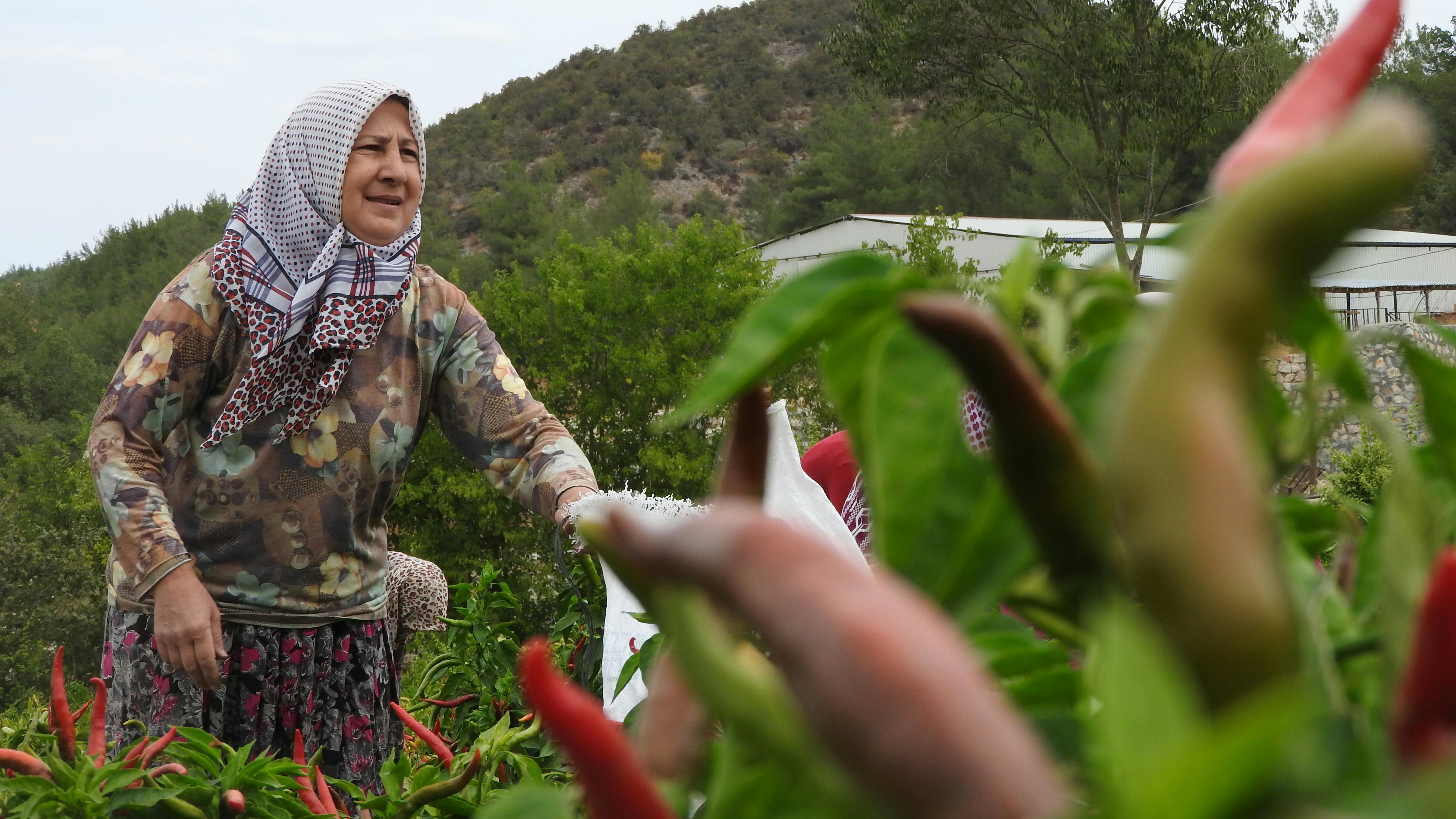 Türkiye’s population prefers Western lifestyle, survey shows — Photo by Mahmut  yılmaz on Pexels