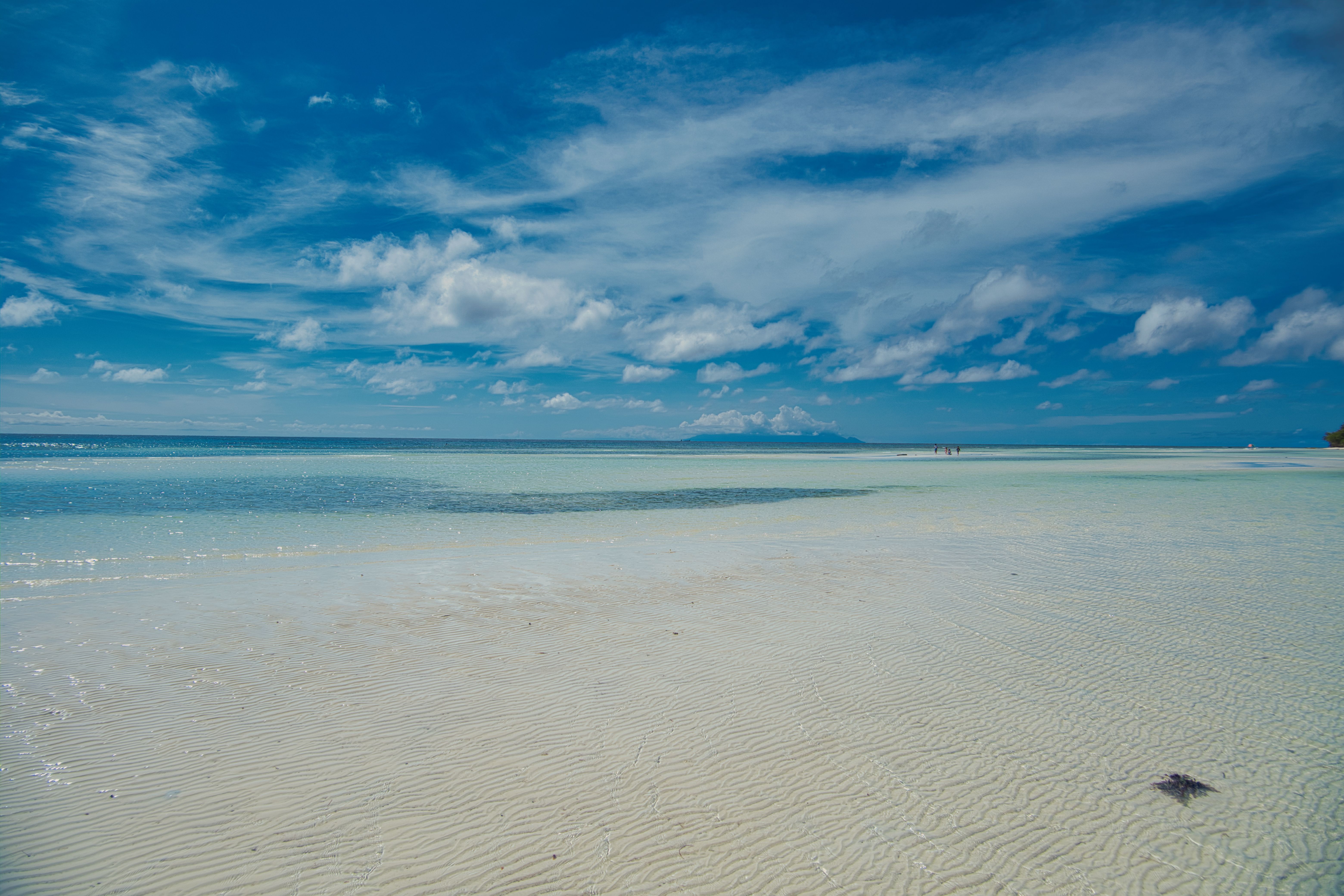Stunning Tropical Beach with Clear Blue Sky · Free Stock Photo
