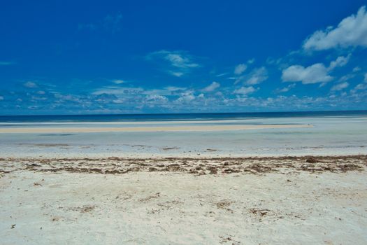 Beautiful sandy beach with clear blue skies and endless ocean horizon, perfect for relaxation and tranquility.