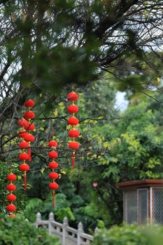 Red lanterns hanging from trees, evoking festive traditions in a serene garden.