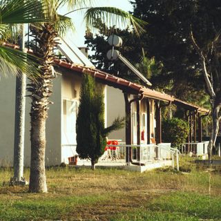 Quaint bungalow surrounded by lush palm trees — photo by Ayşegül Aytören on Pexels