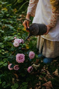 Child watering pink roses with vintage can in a lush garden, capturing rustic charm.
