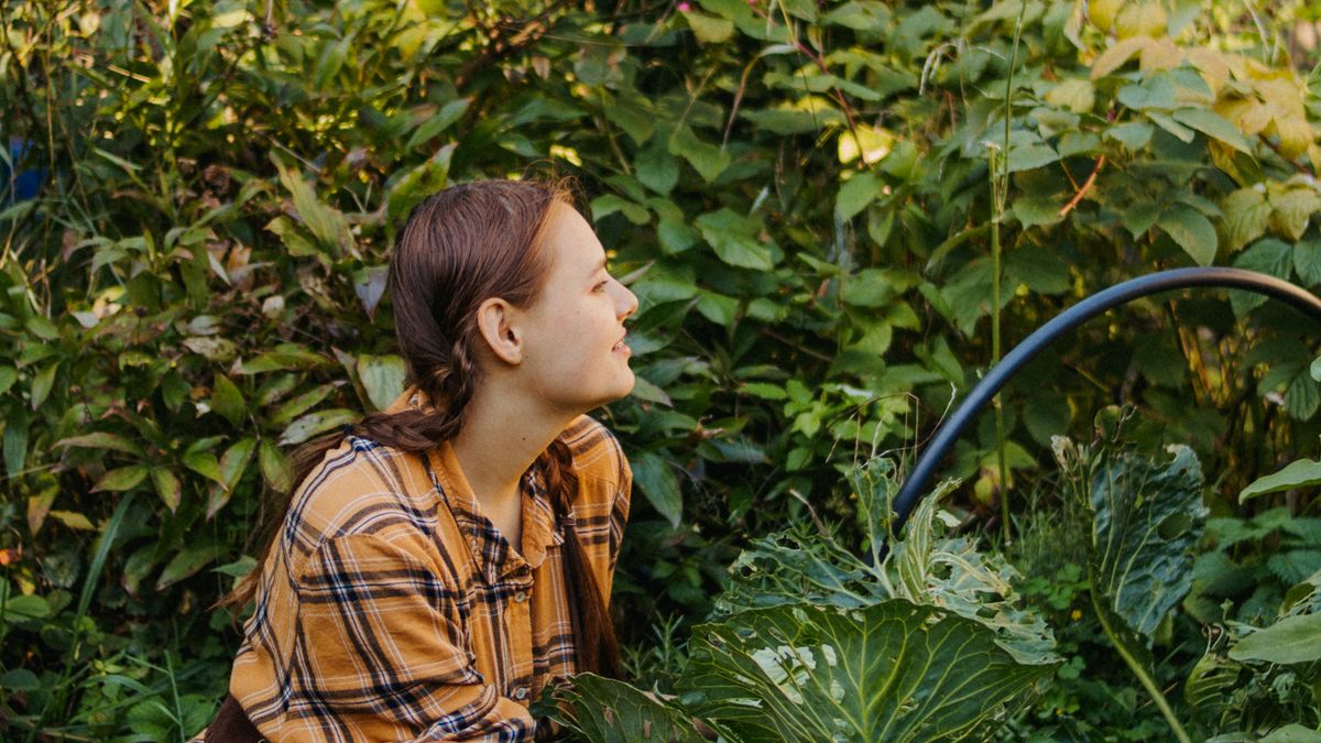 Créer un potager en carrés pour lautomne : guide pratique
