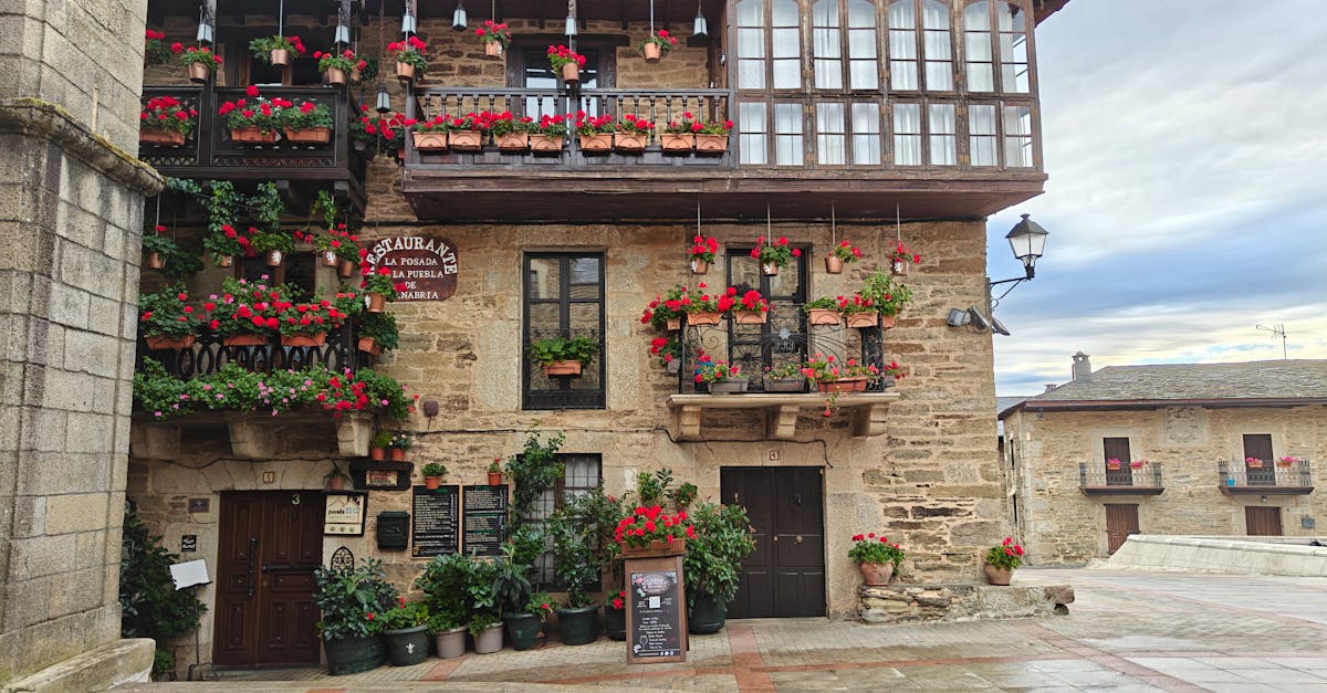 生活:瓊瑤御用女主角容貌大變,感情坎坷無兒女,喪夫後獨居面臨