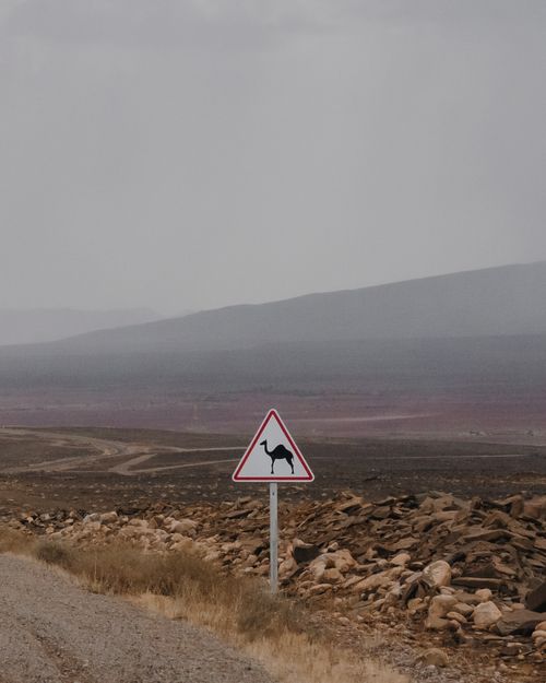 Free Camel crossing warning in the vast Moroccan landscape near Nkob. Stock Photo