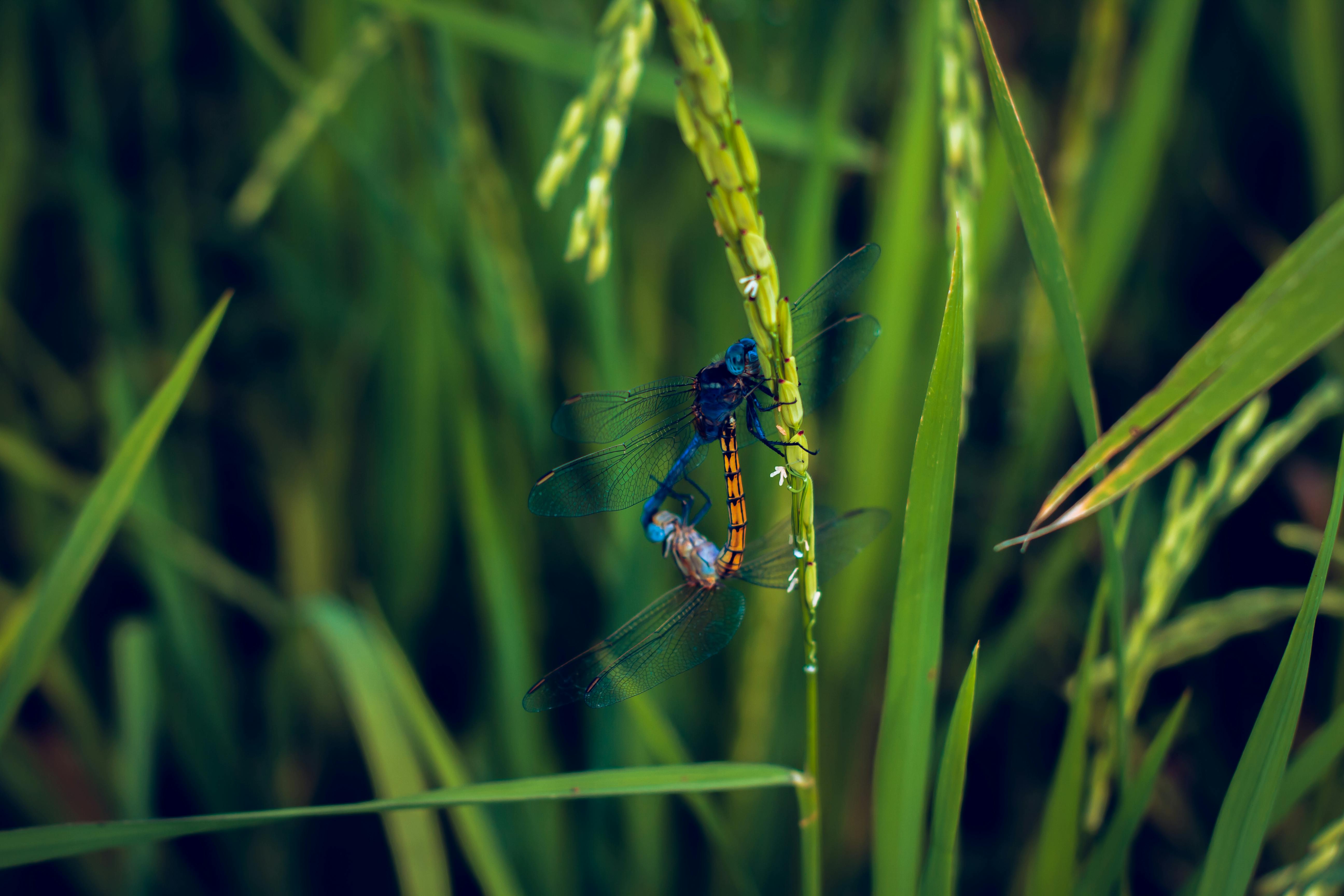 黃靖芸專欄：婚前生活磨合，細節小習慣決定婚姻成敗