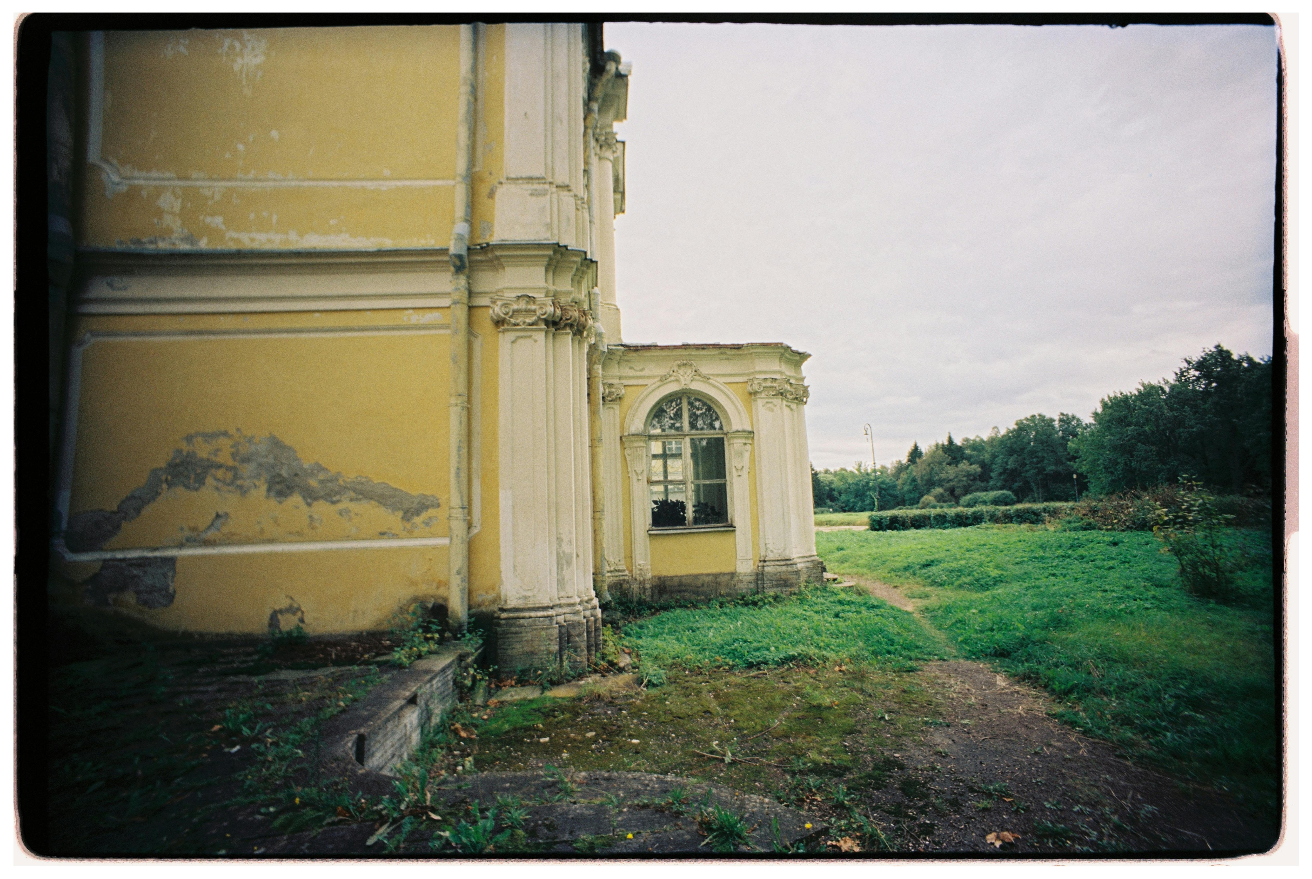 生活：瓊瑤御用女主角容貌大變，感情坎坷無兒女，喪夫後獨居面臨