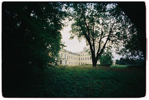 Explore the mystery of an abandoned palace nestled in the green forest.