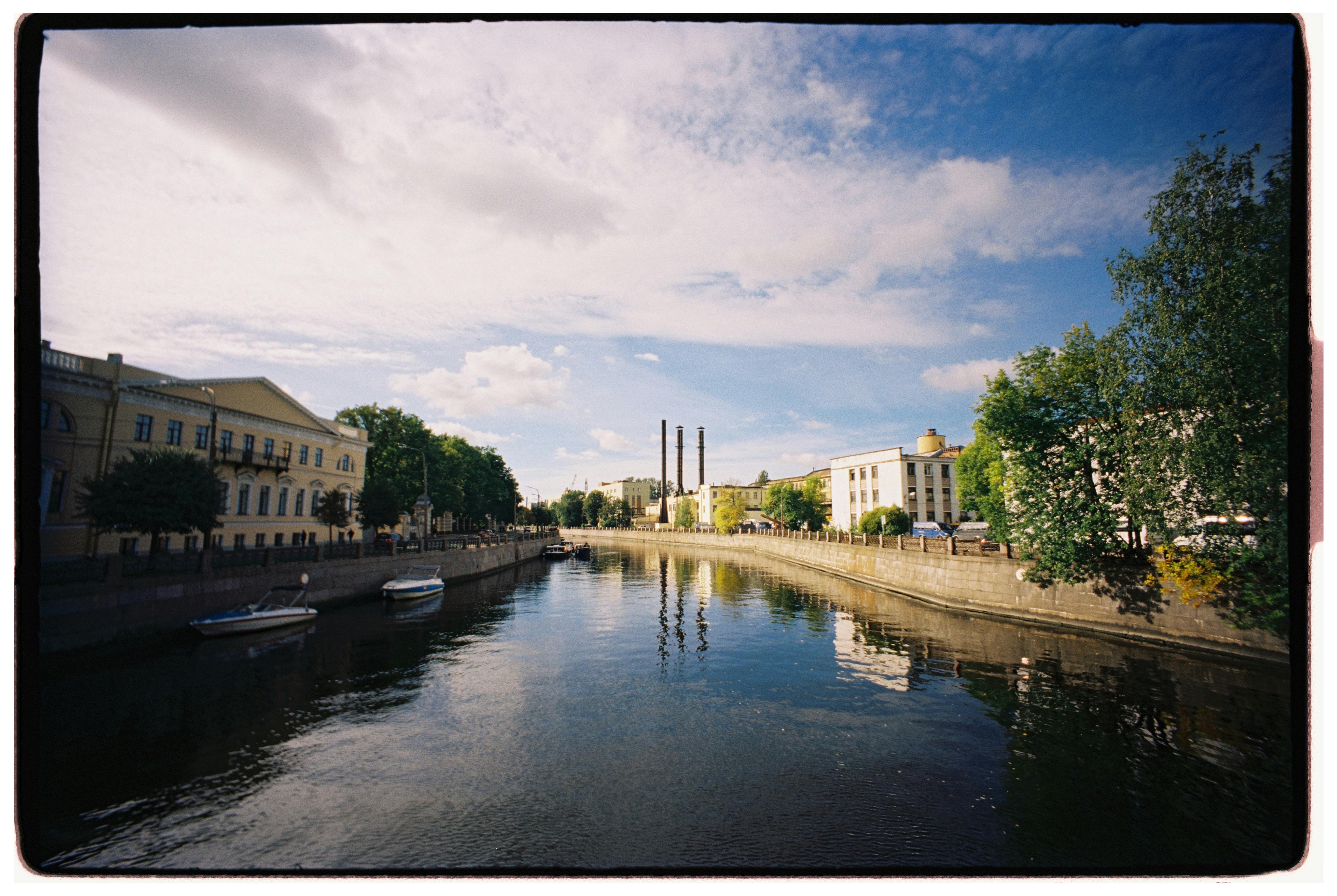 生活：瓊瑤御用女主角容貌大變，感情坎坷無兒女，喪夫後獨居面臨
