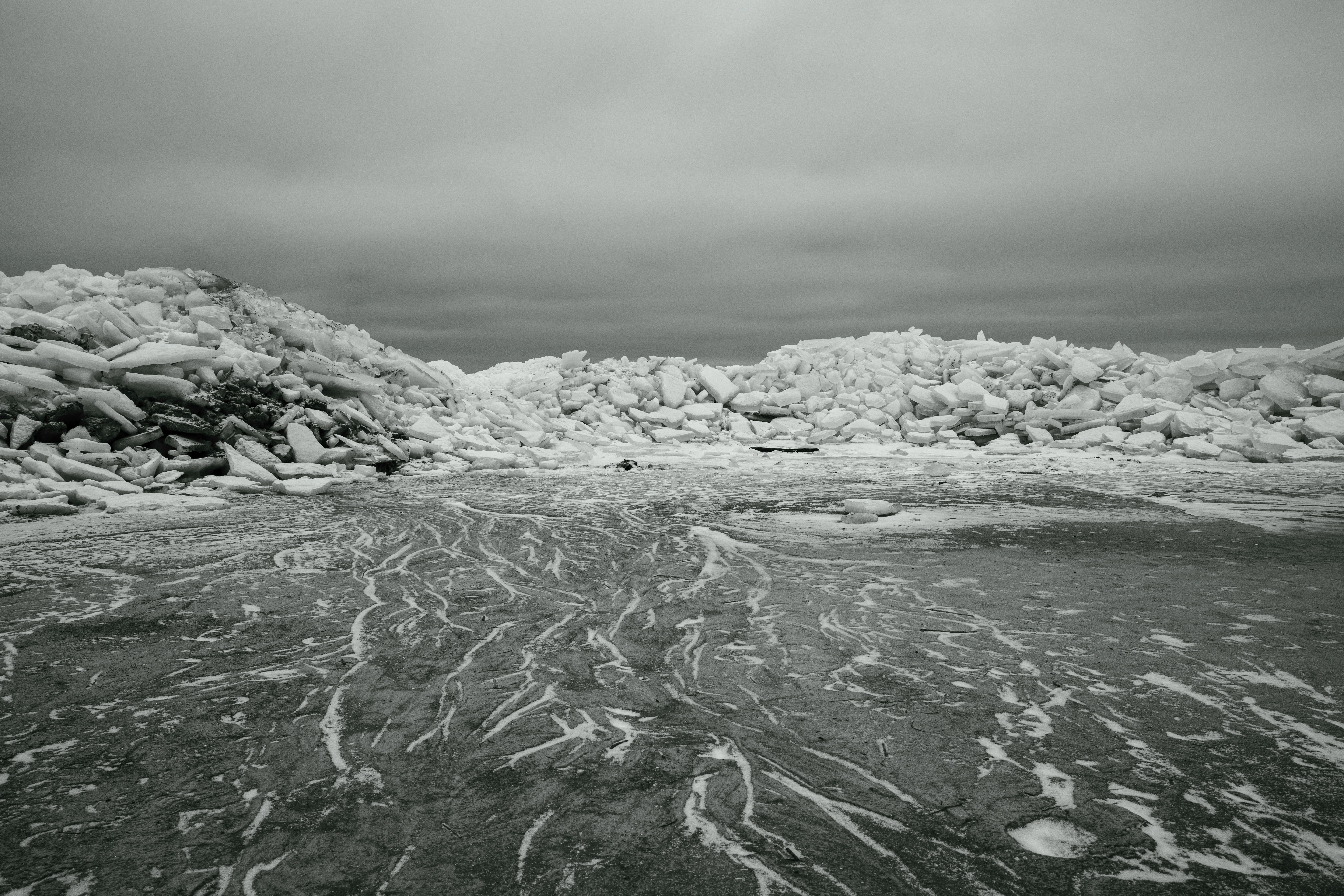 Best Ice Packs Under $20 (2026)