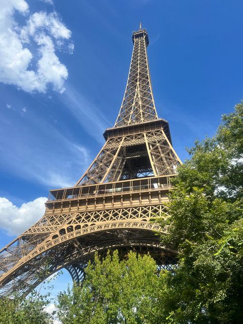 Free View of the Eiffel Tower against a bright blue sky, surrounded by trees. Stock Photo