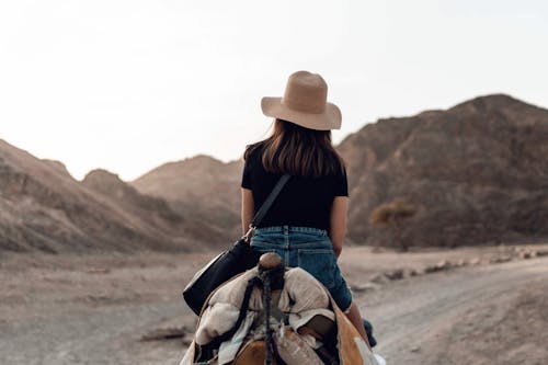 女人在沙漠上骑马匹棕色的马