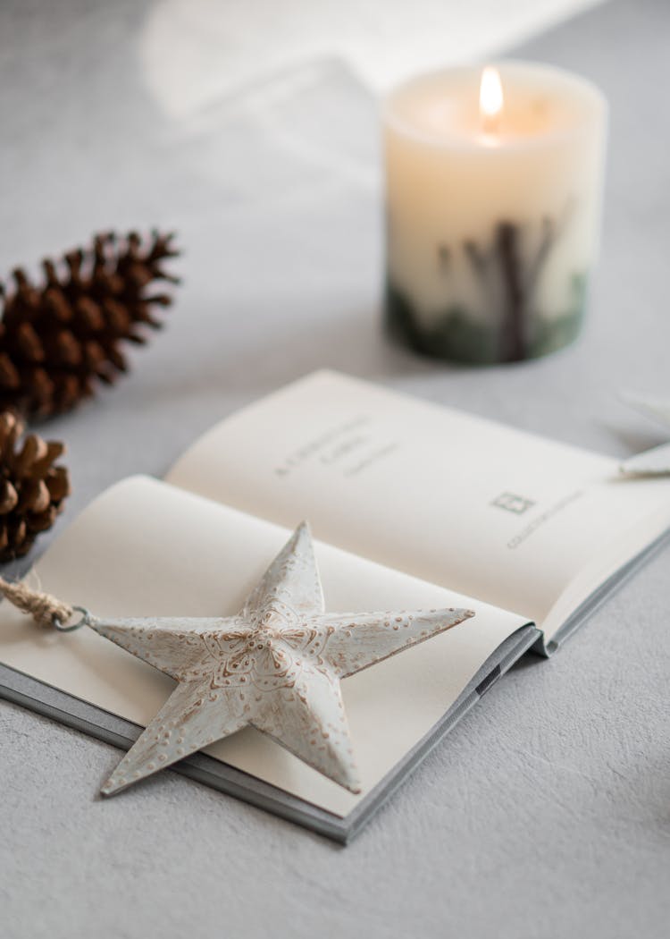 Macro Photography Of Gray Star On Opened Book