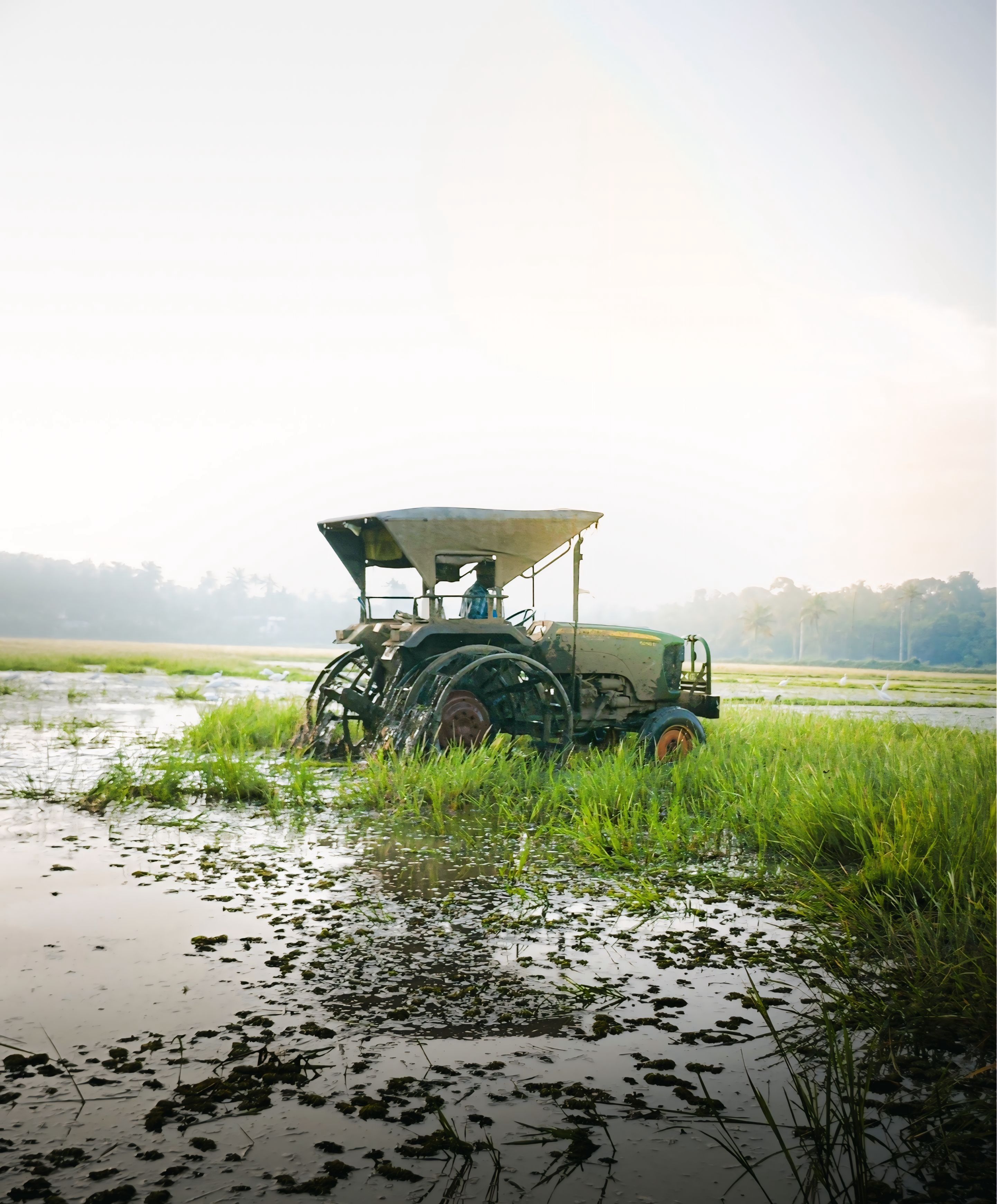 Vintage tractor in Indian rice paddy field at sunrise · Free Stock Photo