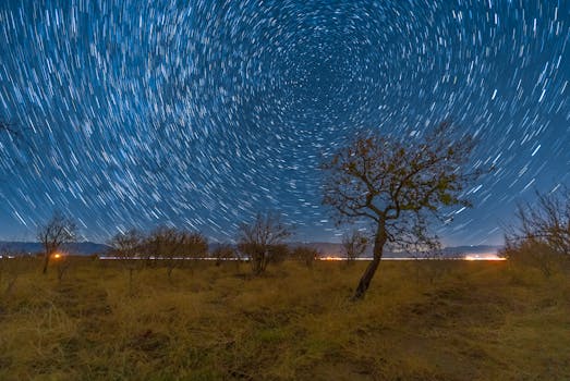 Beautiful long-exposure shot capturing star trails over a desert landscape with sparse trees at night.