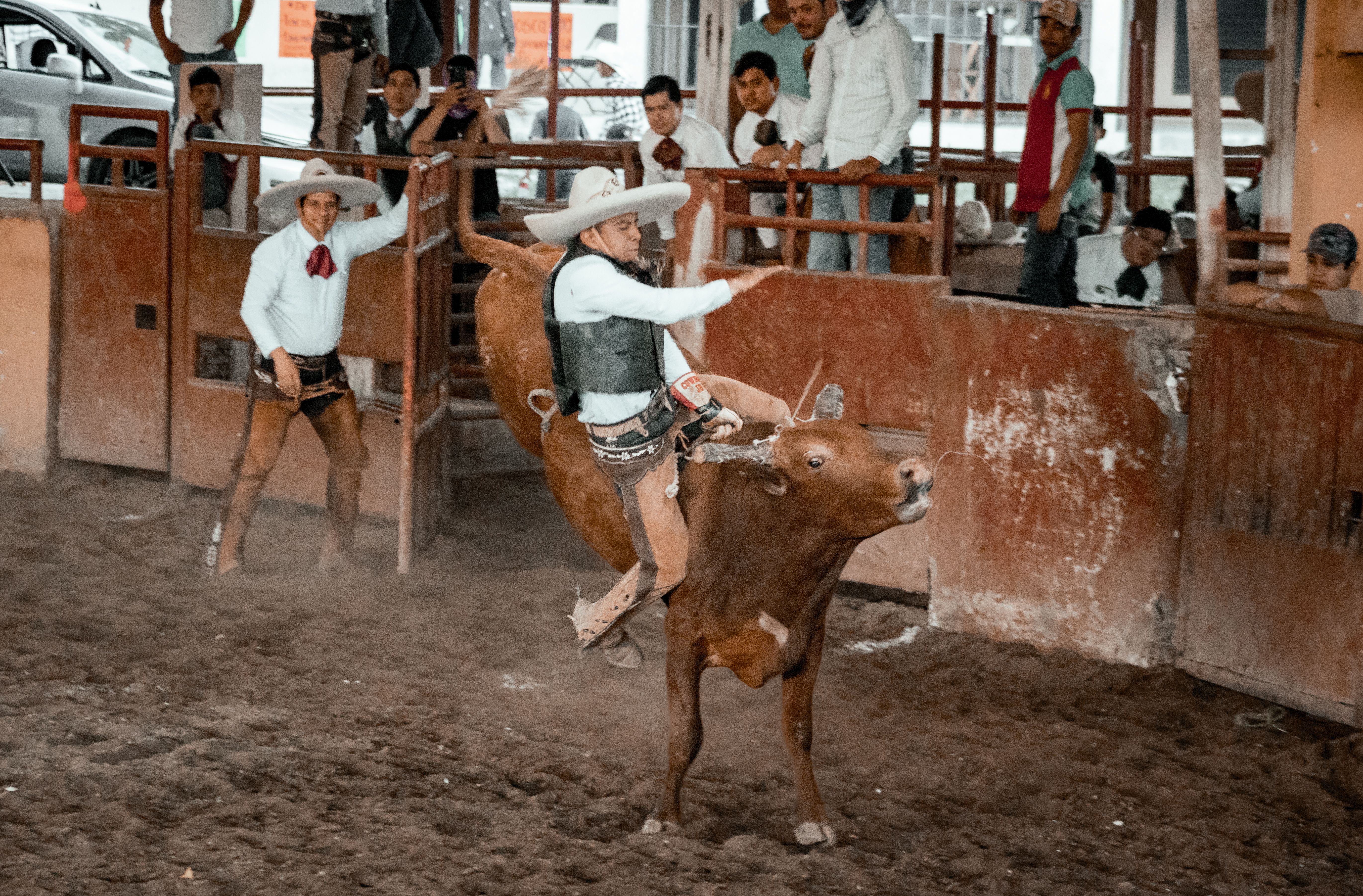 Traditional Charreada Event in Mexico · Free Stock Photo