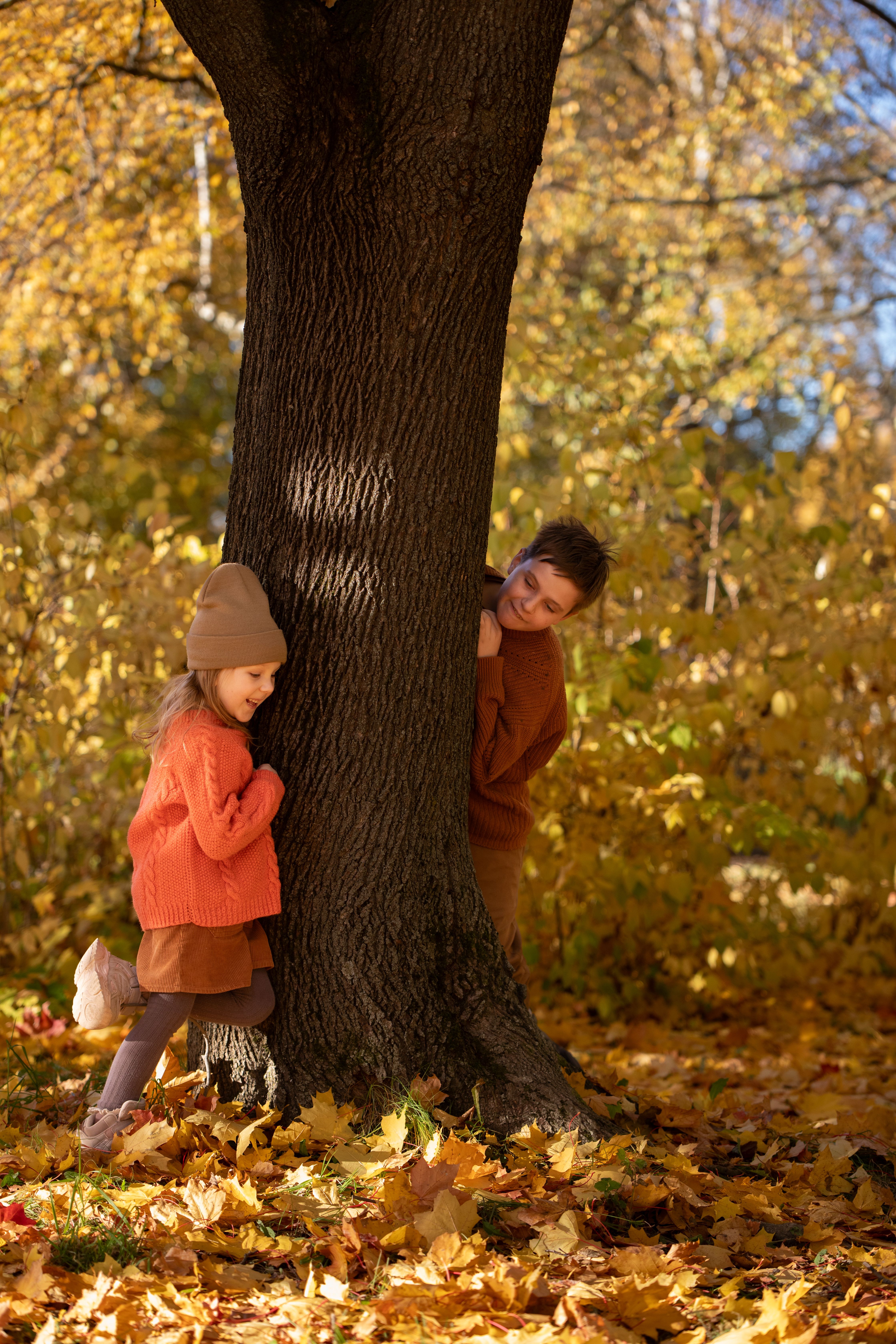 Children Playing Peekaboo in Autumn Forest · Free Stock Photo