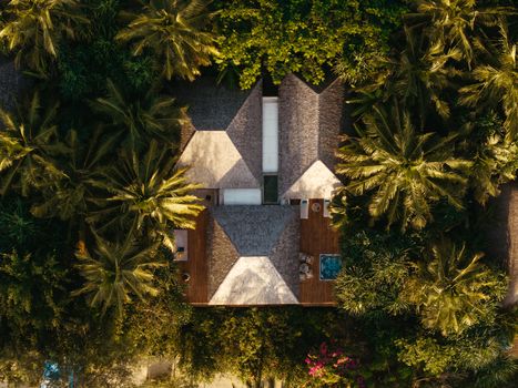 Aerial view of a luxury villa surrounded by lush palm trees, featuring a private pool.