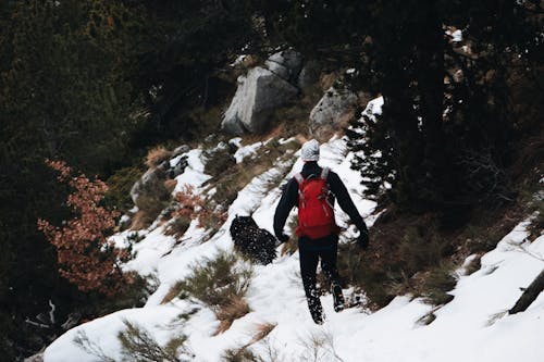 無料 木の横の雪原を歩く男 写真素材