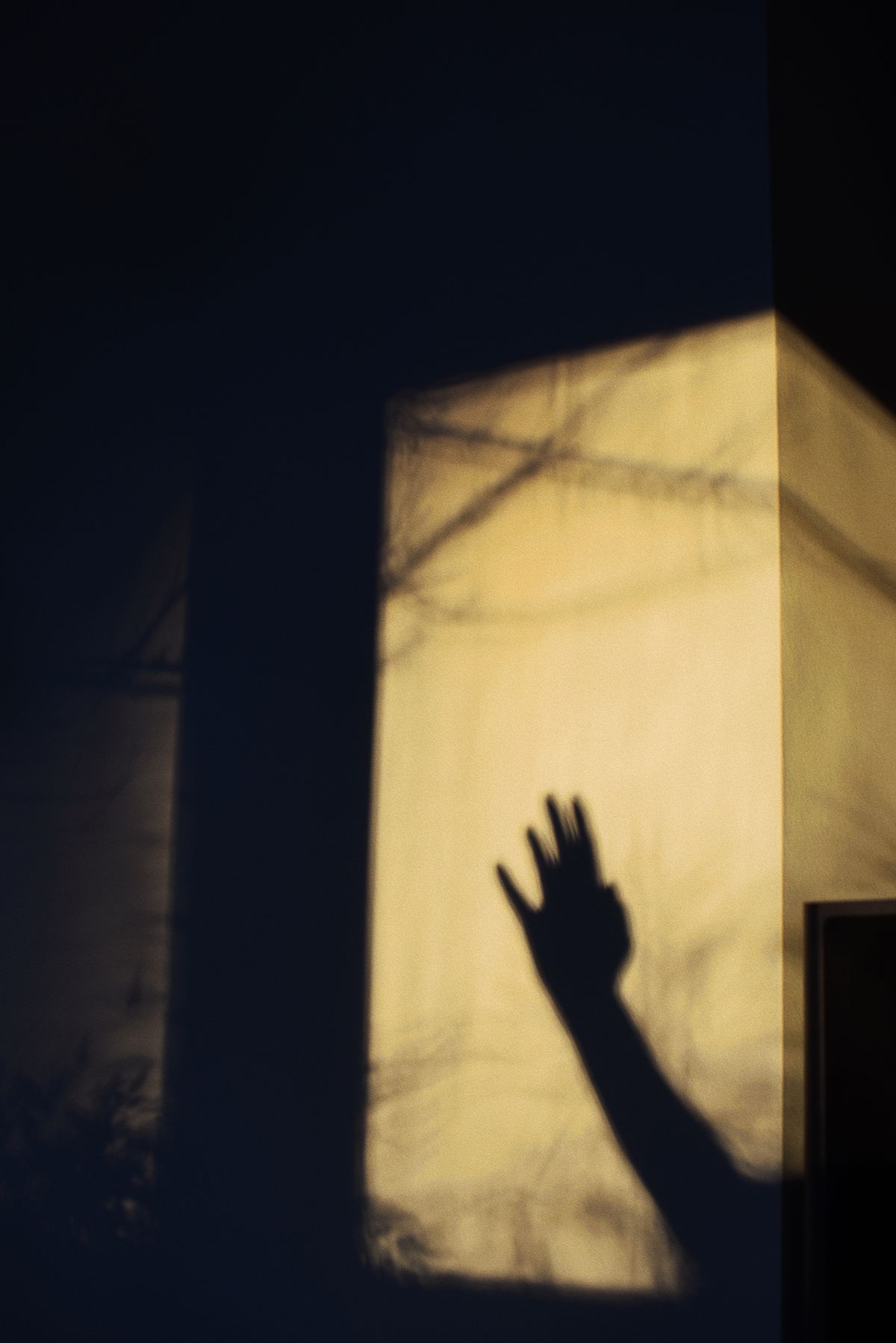 A shadow silhouette of a woman on a wall · Free Stock Photo