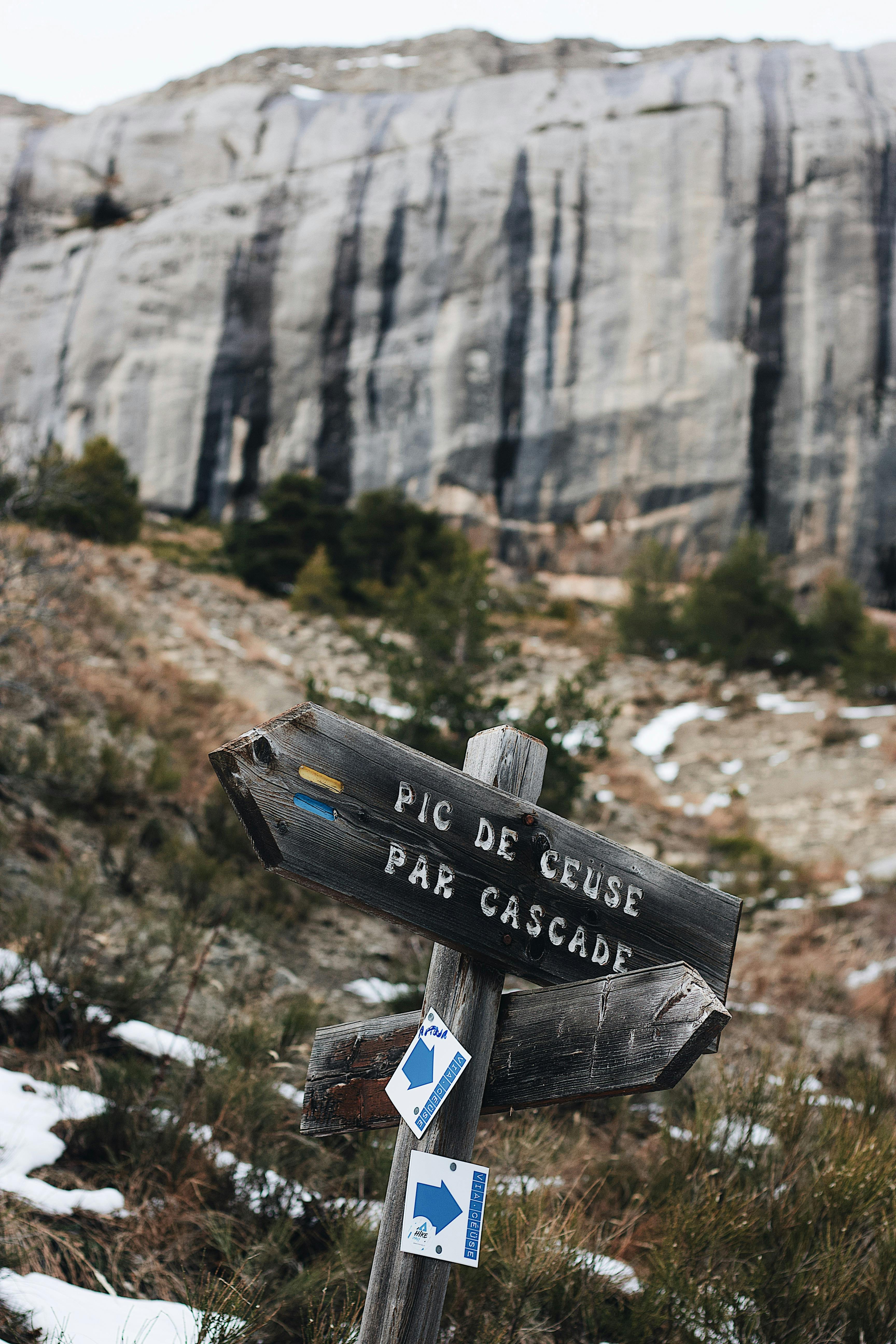 pexels-photo-3410535.jpeg?auto=compressu0026cs=tinysrgbu0026dpr=1u0026w=500