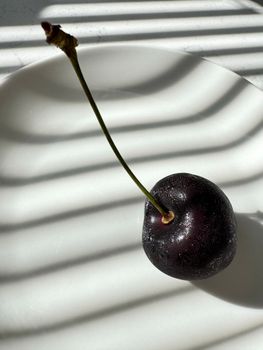 Black Cherry Black Cherry Light Nonfat Yogurt — kidney-friendly food