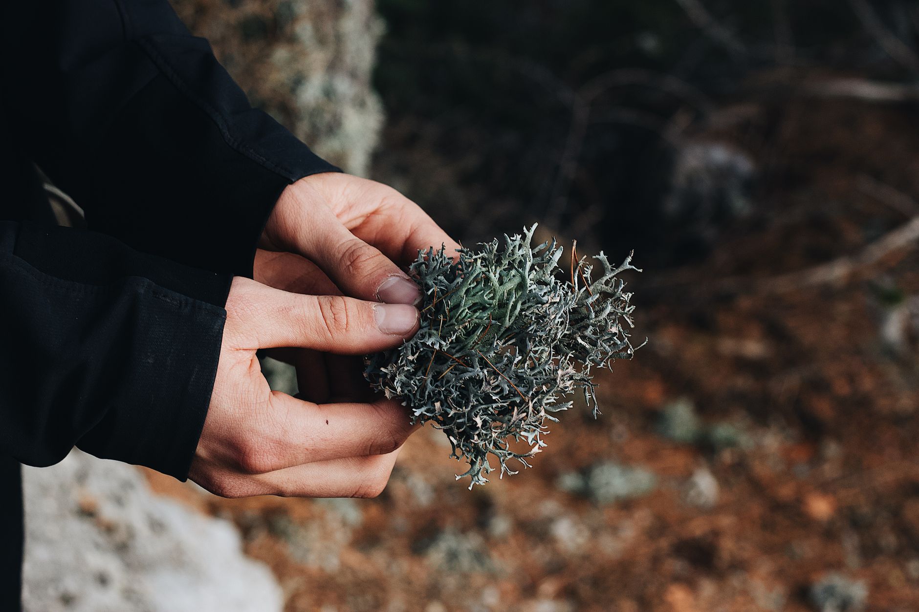 Which Nature Habit Will You Try? 🌿