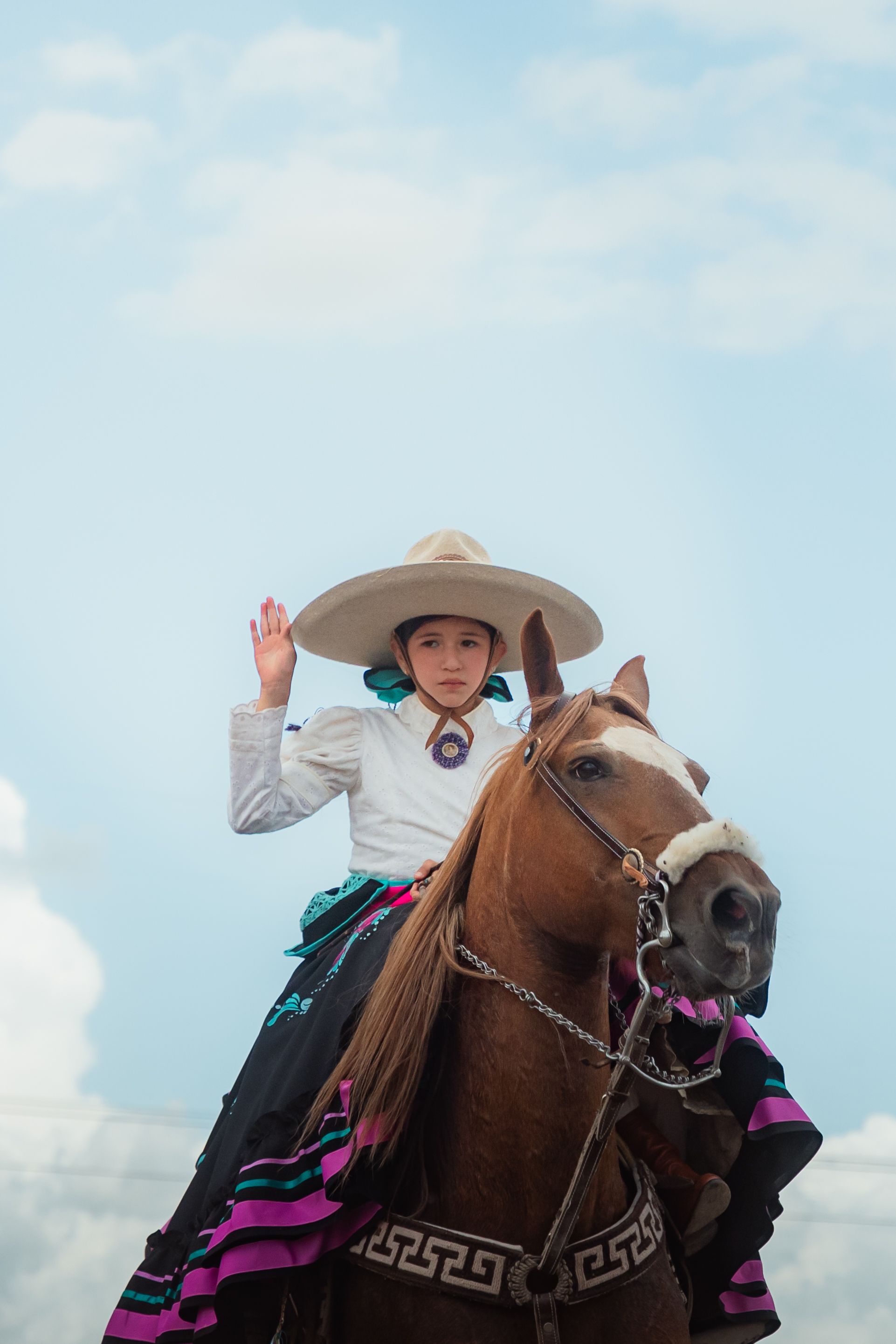 Reverse+Cowgirl+Gif Photos, Download The BEST Free Reverse+Cowgirl+Gif