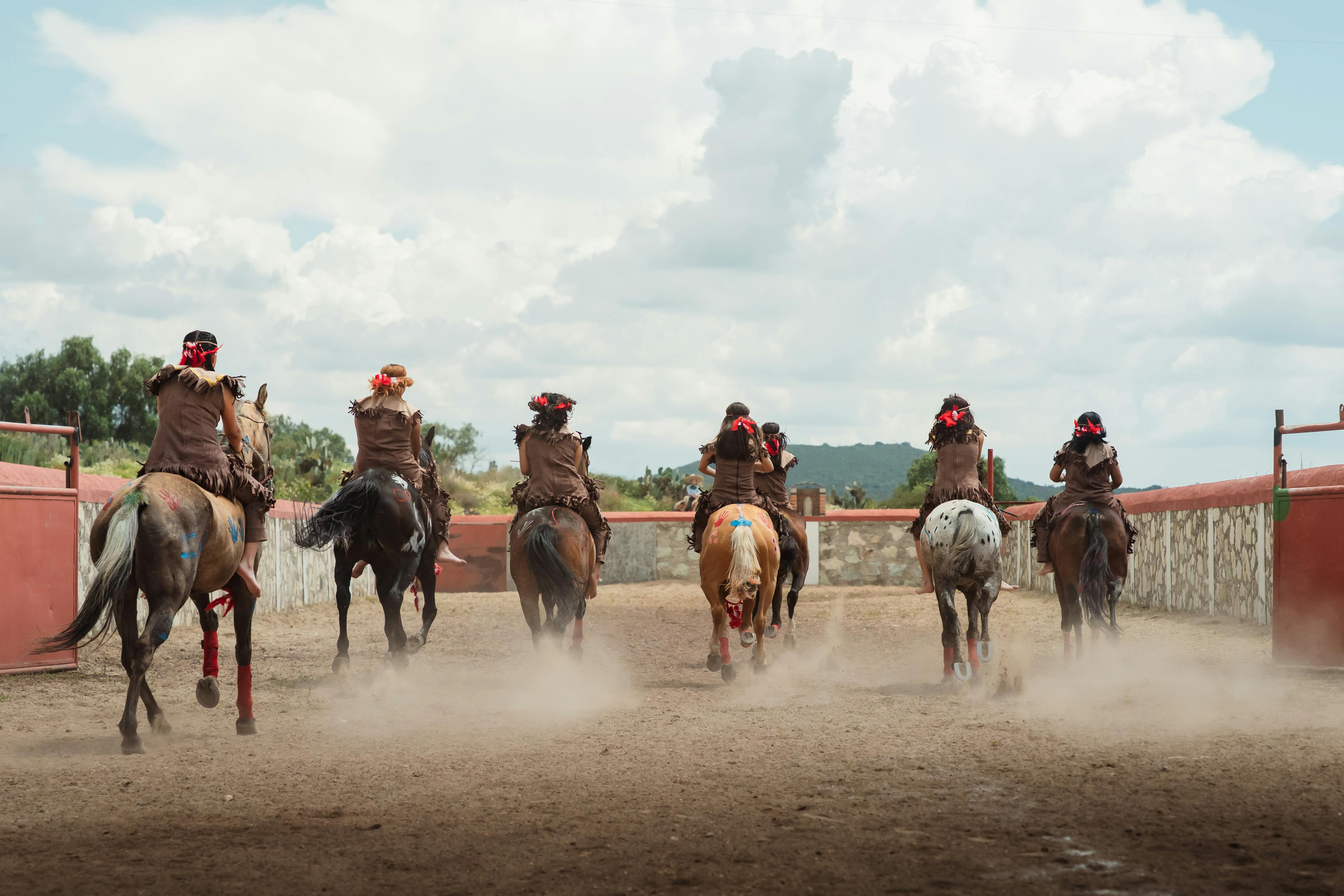 Understanding Galloping in Horse Riding | TikTok, image size:4608x3072