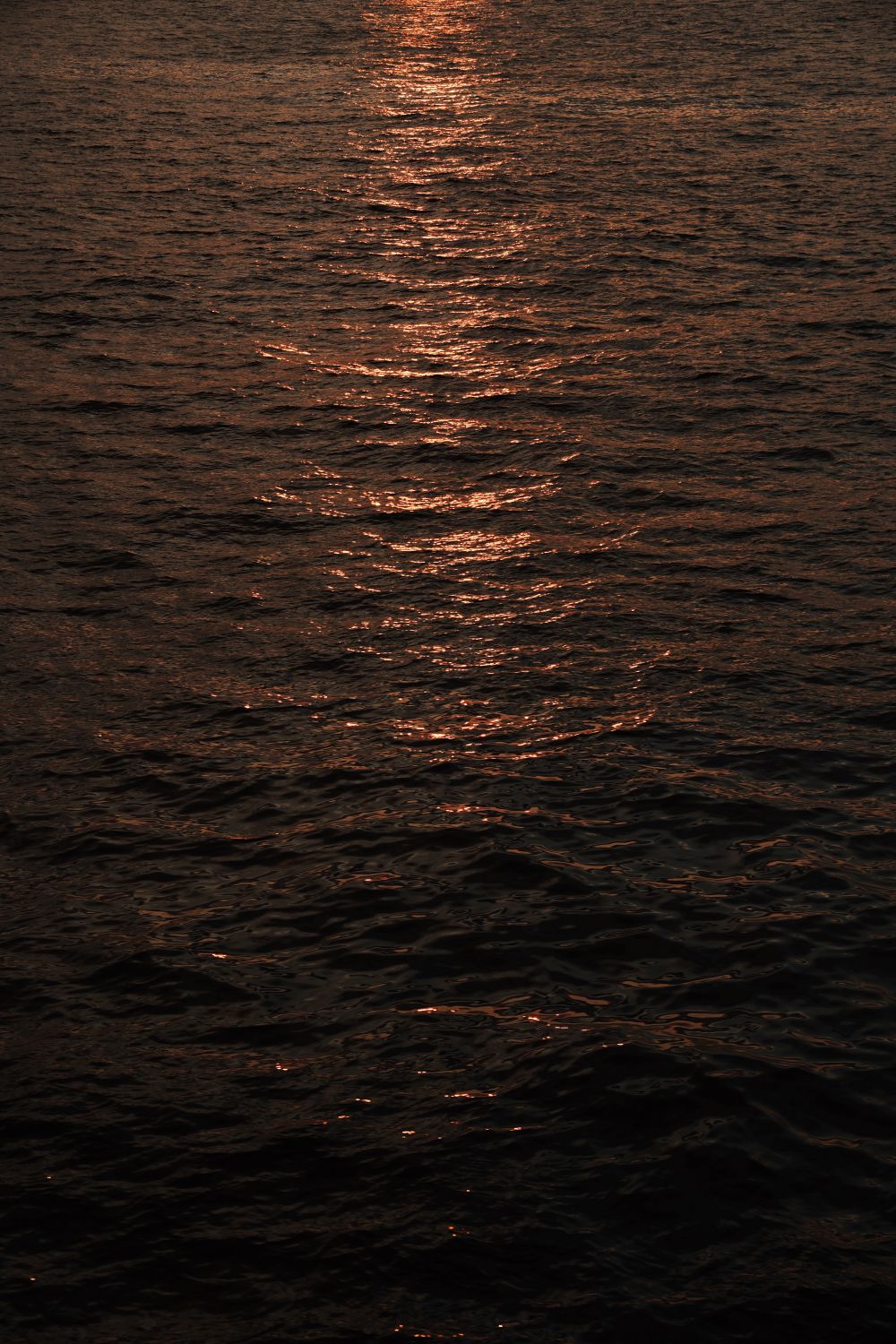 Serene Sunset Reflection on Tranquil Water Surface · Free Stock Photo