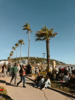Crowds enjoy a sunny day along the palm-lined Piriápolis promenade.