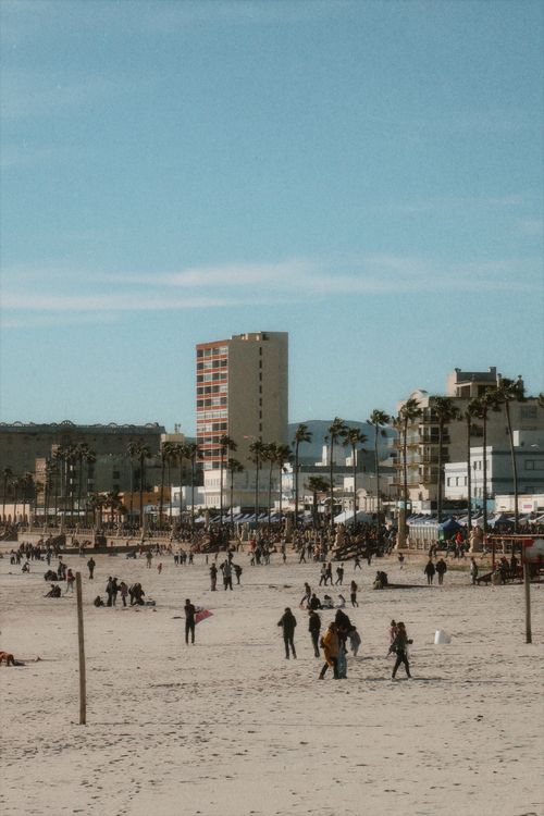 Free Lively scene at Venice Beach with people enjoying a sunny day, palm trees, and beachfront buildings. Stock Photo